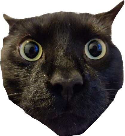 Cursor follower